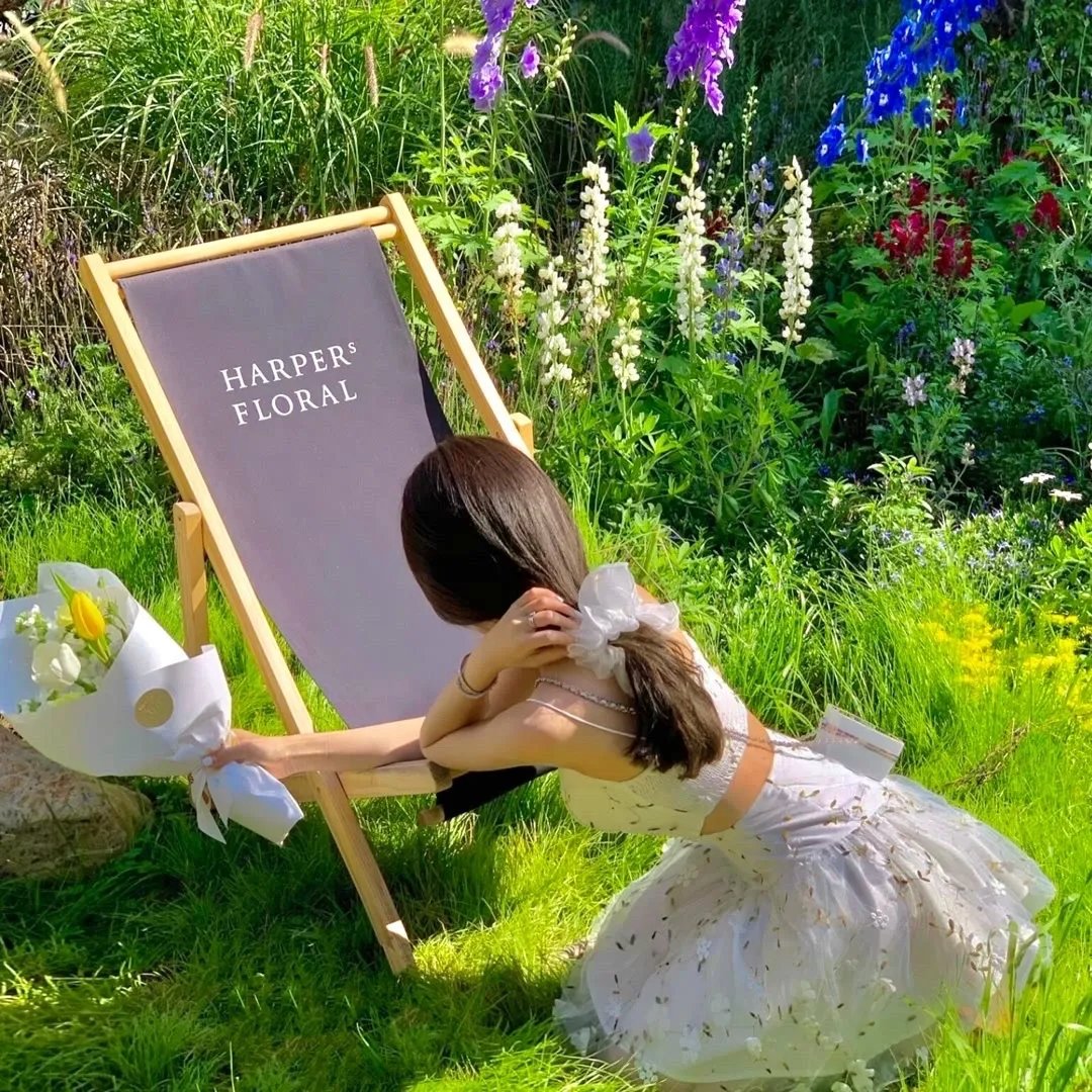 四个孩子与神奇动物